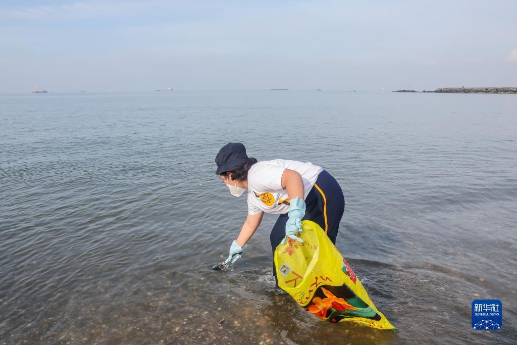 金沙电子书